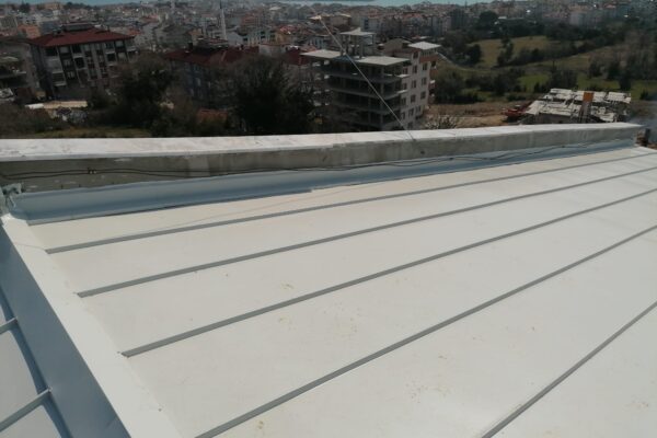 Kenet_cati_6