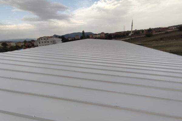 Sandvic_Panel_Cati_1