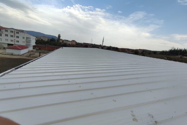 Sandvic_Panel_Cati_3