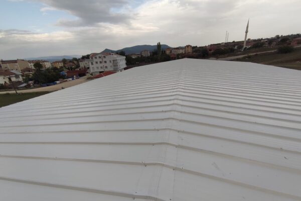 Sandvic_Panel_Cati_2